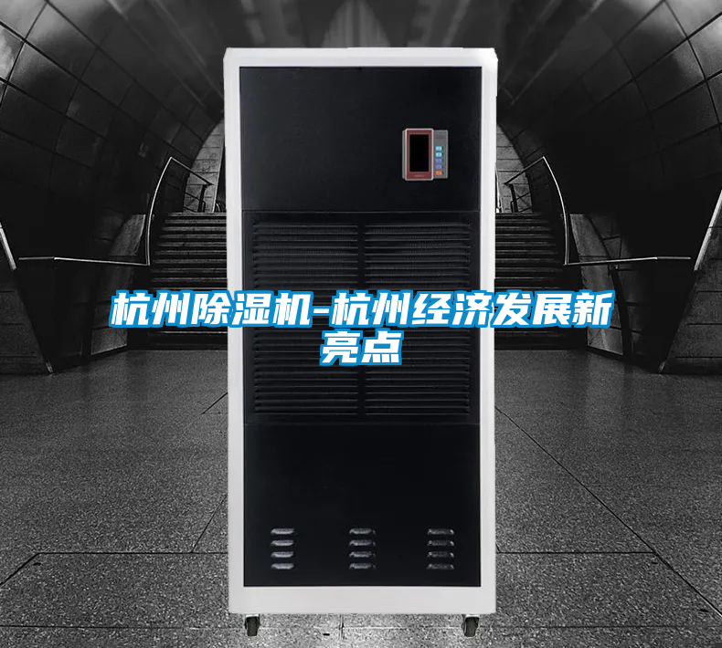 杭州除湿机-杭州经济发展新亮点