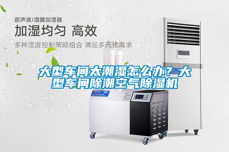 大型车间太潮湿怎么办？大型车间除潮空气除湿机