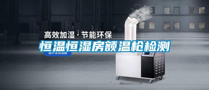 恒温恒湿房额温枪检测