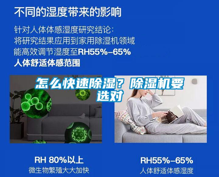 怎么快速除湿？除湿机要选对