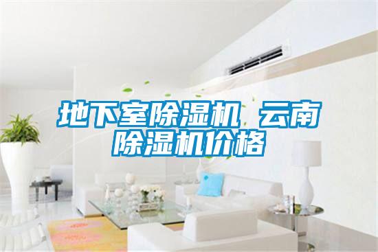 地下室除湿机 云南除湿机价格