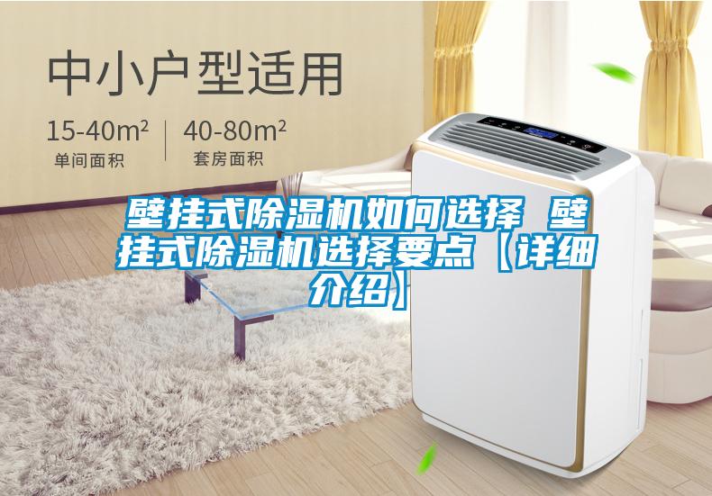 壁挂式除湿机如何选择 壁挂式除湿机选择要点【详细介绍】