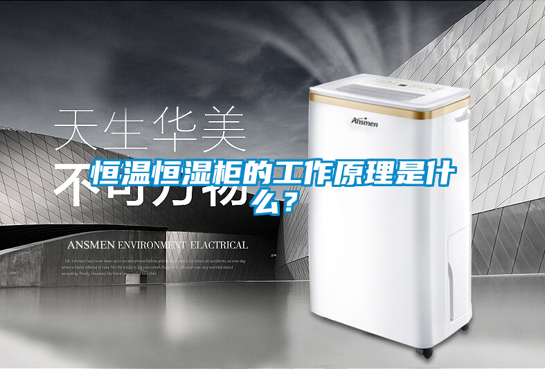 恒温恒湿柜的工作原理是什么？