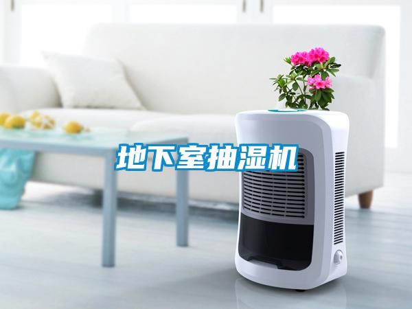 地下室抽湿机