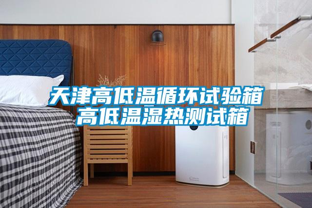 天津高低温循环试验箱 高低温湿热测试箱