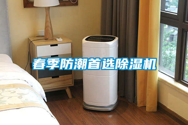 春季防潮首选除湿机