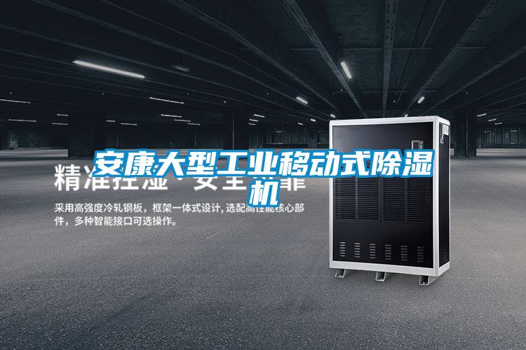安康大型工业移动式除湿机