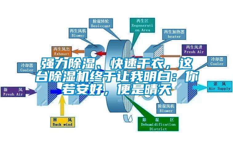 强力除湿、快速干衣，这台除湿机终于让我明白：你若安好，便是晴天