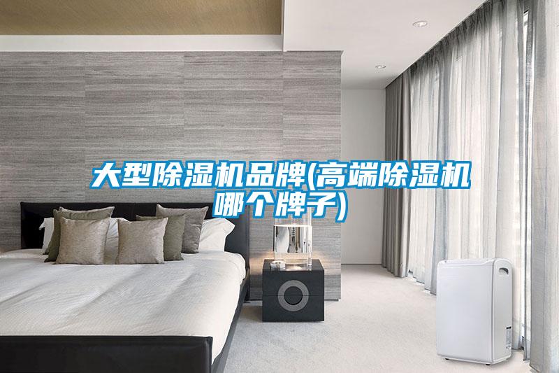 大型除湿机品牌(高端除湿机哪个牌子)