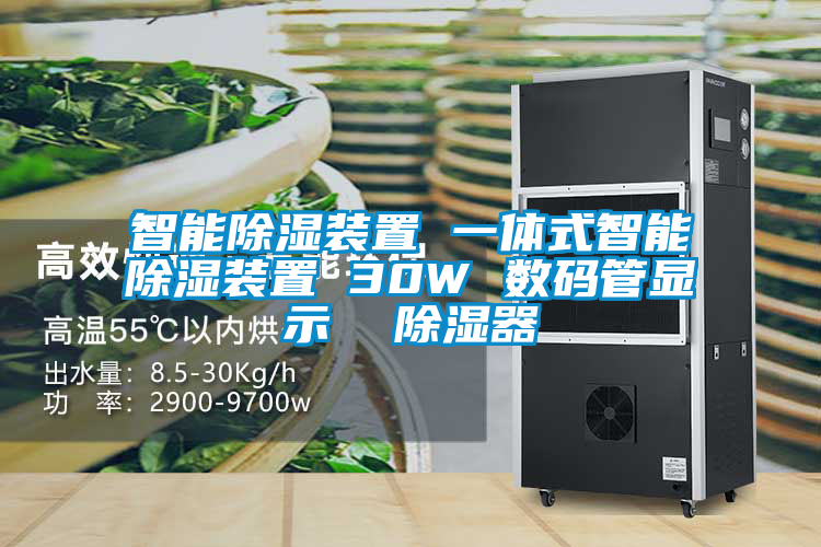 智能除湿装置 一体式智能除湿装置 30W 数码管显示 除湿器