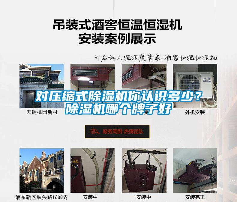 对压缩式除湿机你认识多少?除湿机哪个牌子好