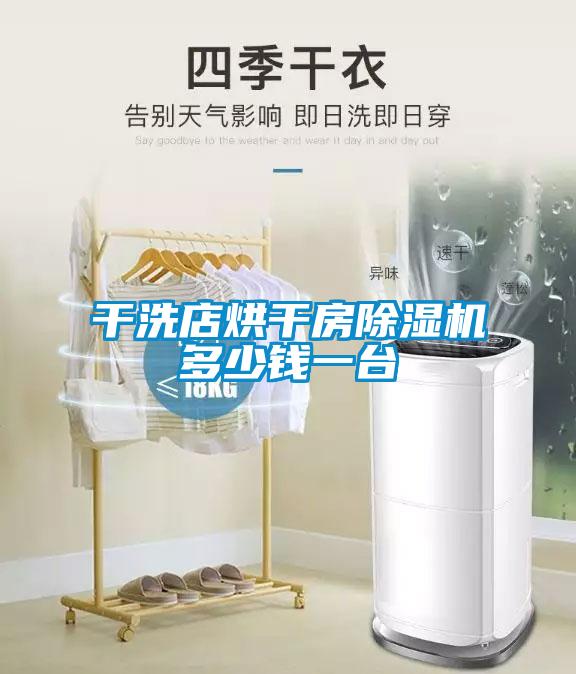干洗店烘干房除湿机多少钱一台