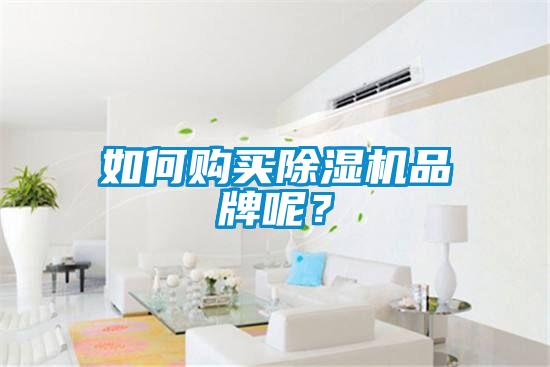 如何购买除湿机品牌呢？