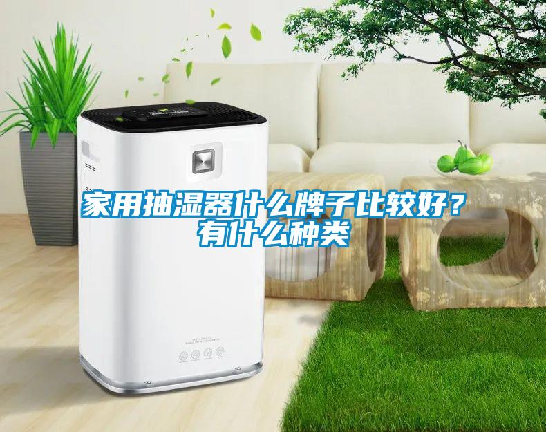 家用抽湿器什么牌子比较好？有什么种类