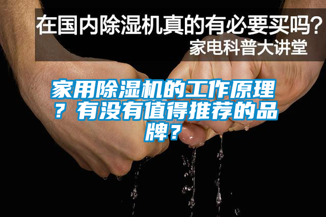 家用除湿机的工作原理？有没有值得推荐的品牌？