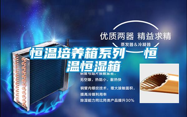 恒温培养箱系列  恒温恒湿箱