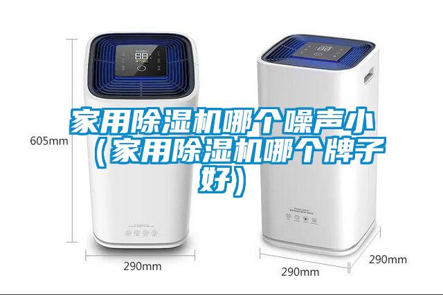 家用除湿机哪个噪声?。矣贸母雠谱雍茫?/></p>
						    <p style=