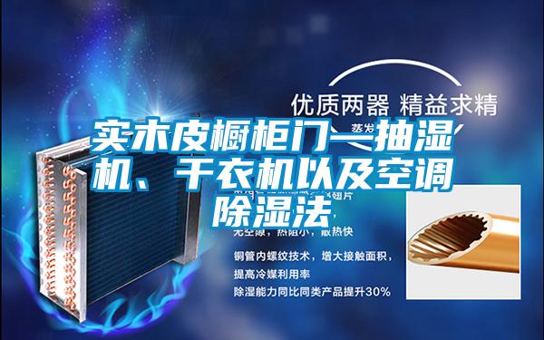 实木皮橱柜门—抽湿机、干衣机以及空调除湿法