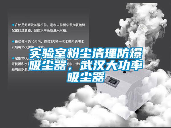 实验室粉尘清理防爆吸尘器，武汉大功率吸尘器