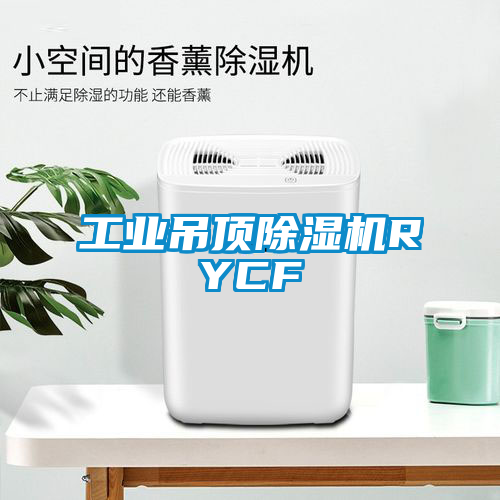 工业吊顶除湿机RYCF