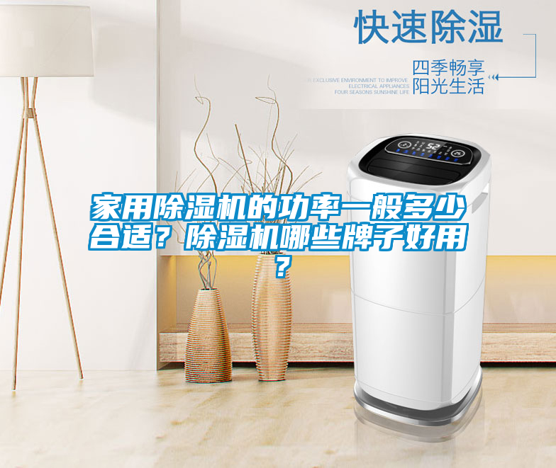 家用除湿机的功率一般多少合适？除湿机哪些牌子好用？
