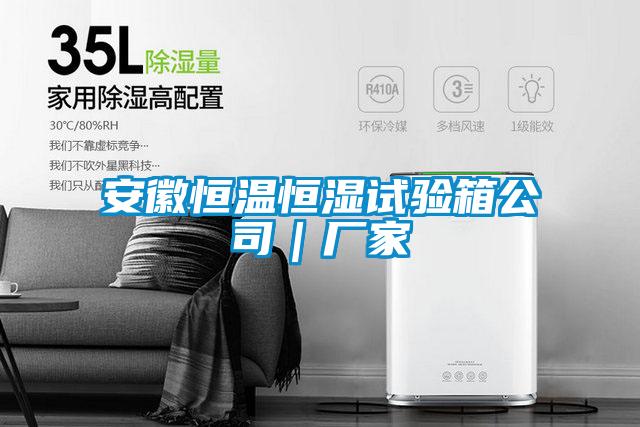 安徽恒温恒湿试验箱公司|厂家