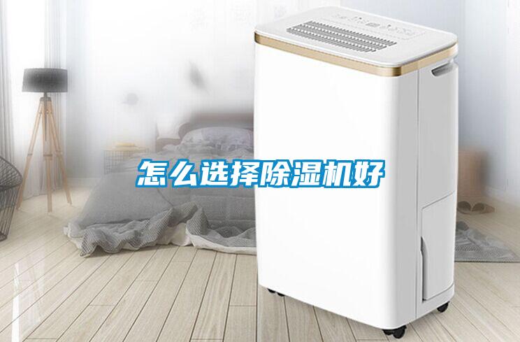 怎么选择除湿机好