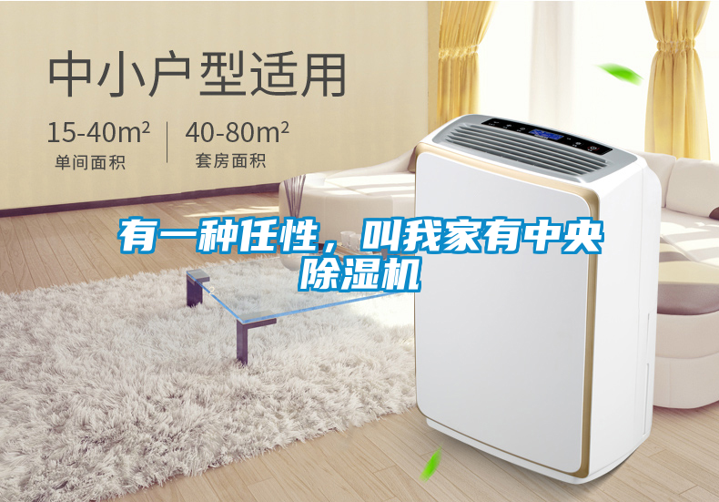 有一种任性，叫我家有中央除湿机