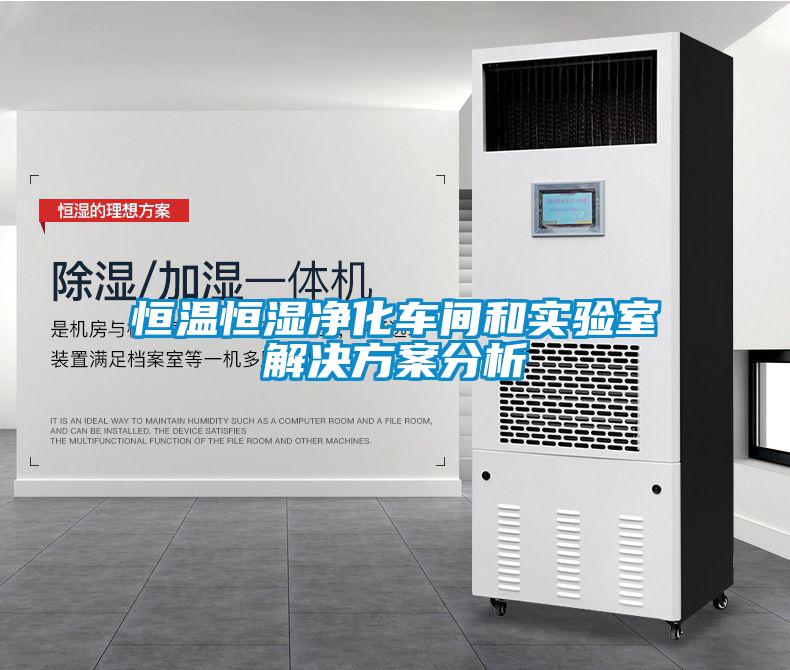 恒温恒湿净化车间和实验室解决方案分析