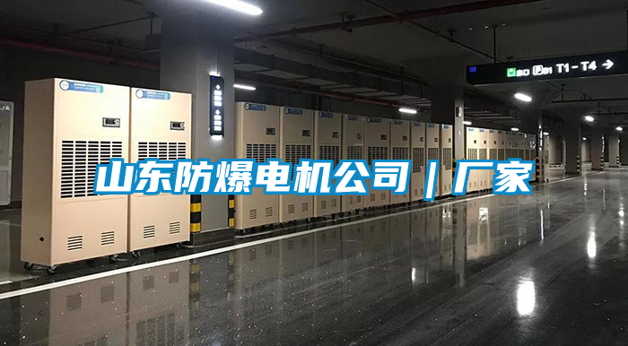 山东防爆电机公司|厂家