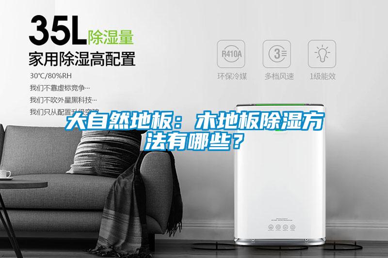 大自然地板：木地板除湿方法有哪些？