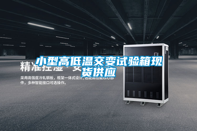 小型高低温交变试验箱现货供应