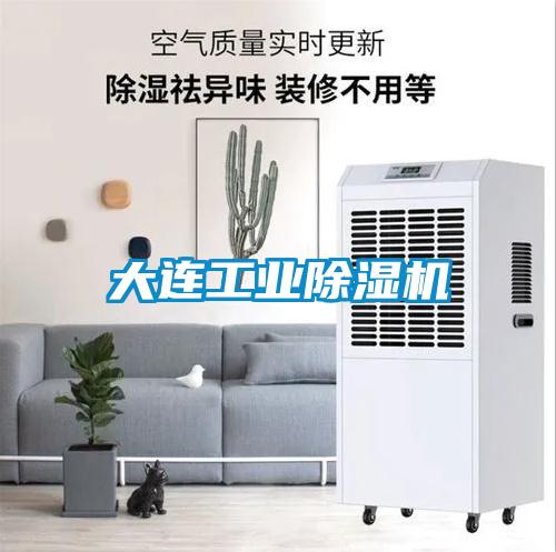 大连工业除湿机