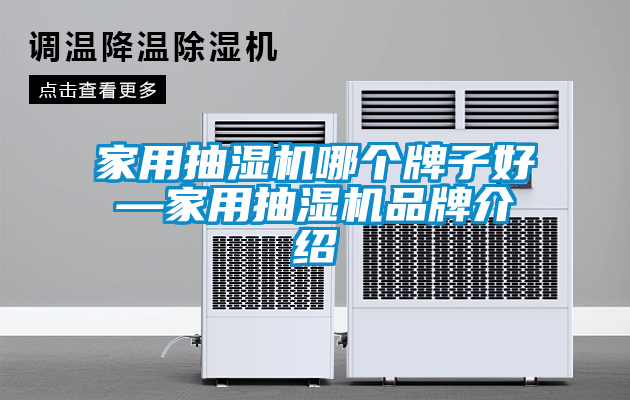 家用抽湿机哪个牌子好—家用抽湿机品牌介绍