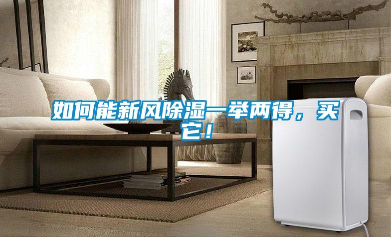 如何能新风除湿一举两得，买它！