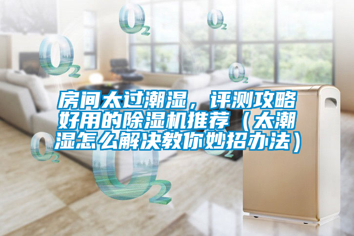 房间太过潮湿，评测攻略好用的除湿机推荐（太潮湿怎么解决教你妙招办法）
