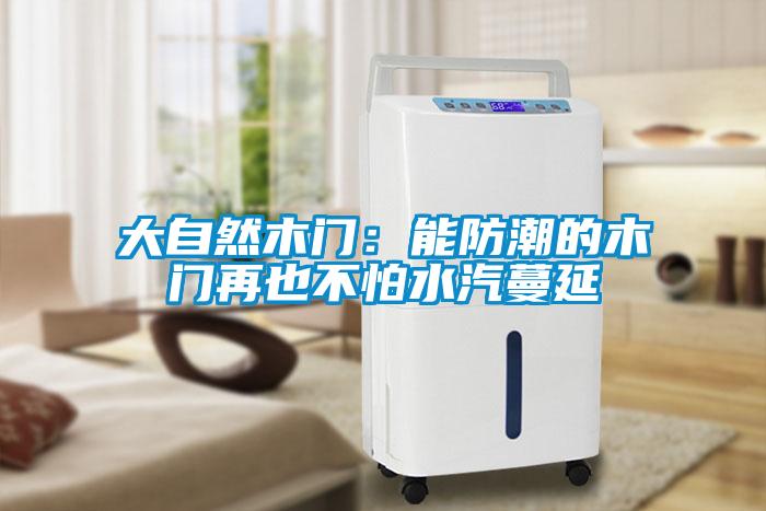 大自然木门：能防潮的木门再也不怕水汽蔓延