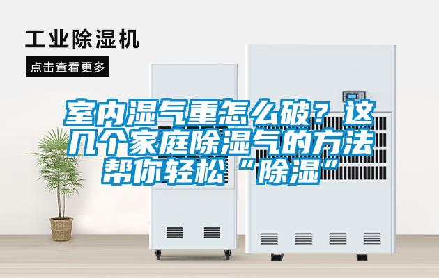 室内湿气重怎么破？这几个家庭除湿气的方法帮你轻松“除湿”