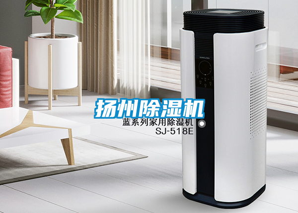 扬州除湿机