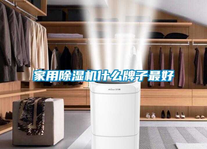 家用除湿机什么牌子最好