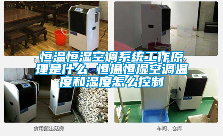 恒温恒湿空调系统工作原理是什么 恒温恒湿空调温度和湿度怎么控制