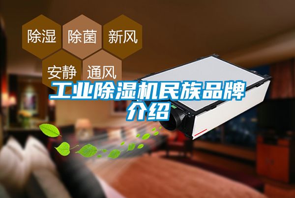 工业除湿机民族品牌介绍