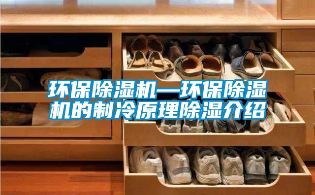 环保除湿机—环保除湿机的制冷原理除湿介绍