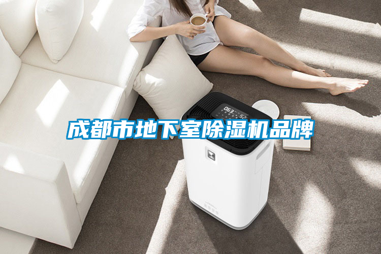 成都市地下室除湿机品牌