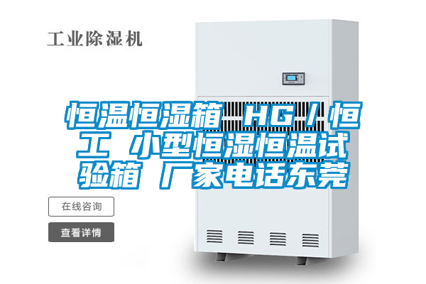 恒温恒湿箱 HG/恒工 小型恒湿恒温试验箱 厂家电话东莞