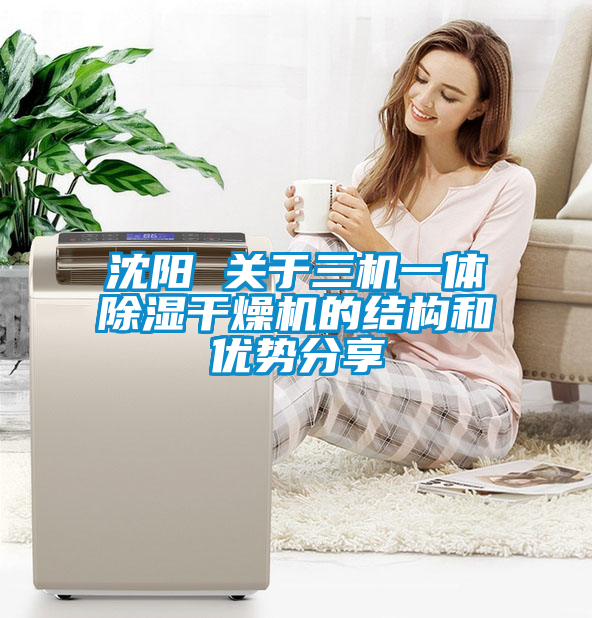 沈阳 关于三机一体除湿干燥机的结构和优势分享