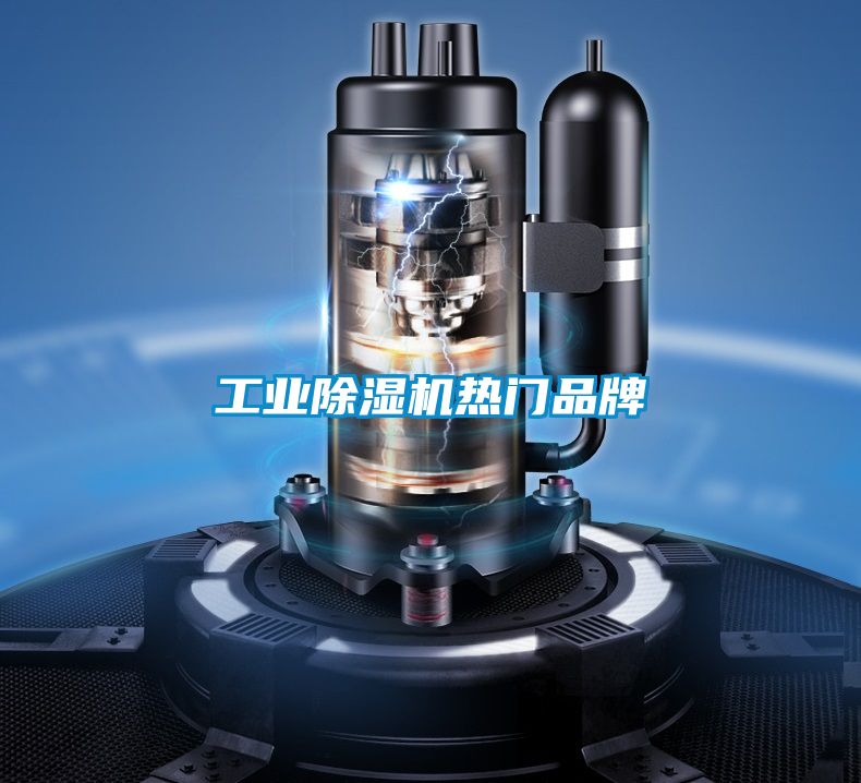 工业除湿机热门品牌