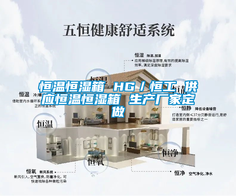 恒温恒湿箱 HG／恒工 供应恒温恒湿箱 生产厂家定做