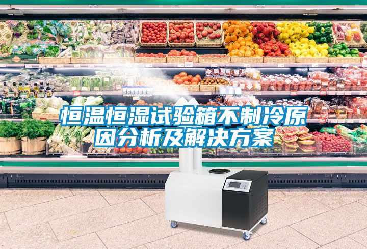 恒温恒湿试验箱不制冷原因分析及解决方案