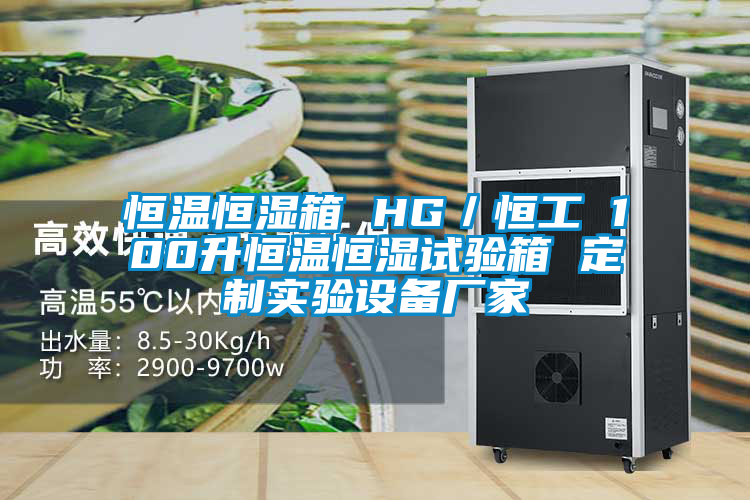 恒温恒湿箱 HG/恒工 100升恒温恒湿试验箱 定制实验设备厂家